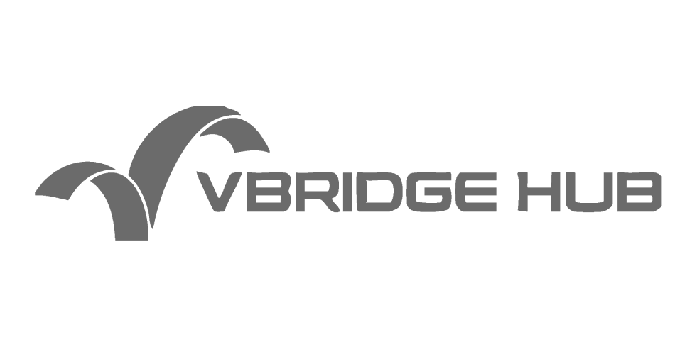 vbridge hub